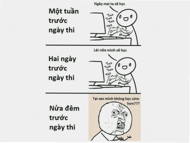Ảnh chế hài hước về việc ôn thi