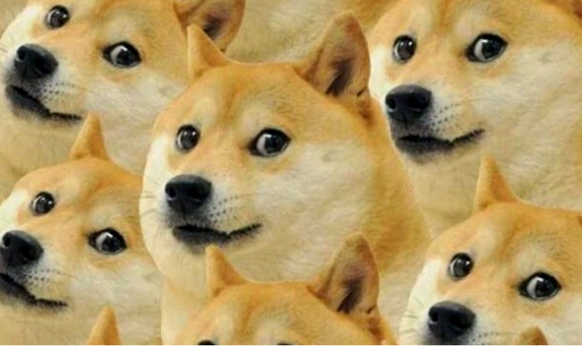 Ảnh meme biểu cảm "vô tri" ngộ nghĩnh