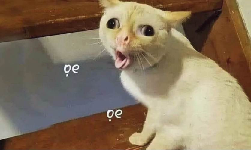 Ảnh meme hài hước với tình huống "dở khóc dở cười"
