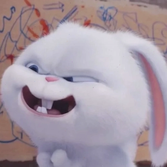 Bộ sưu tập ảnh thỏ snowball đáng yêu