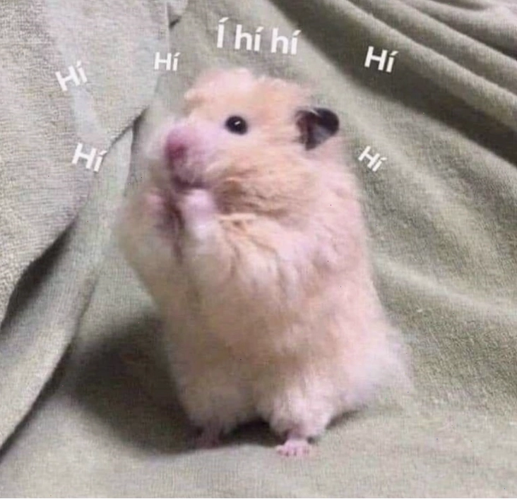 Bộ sưu tập Hamster meme hài hước đáng yêu