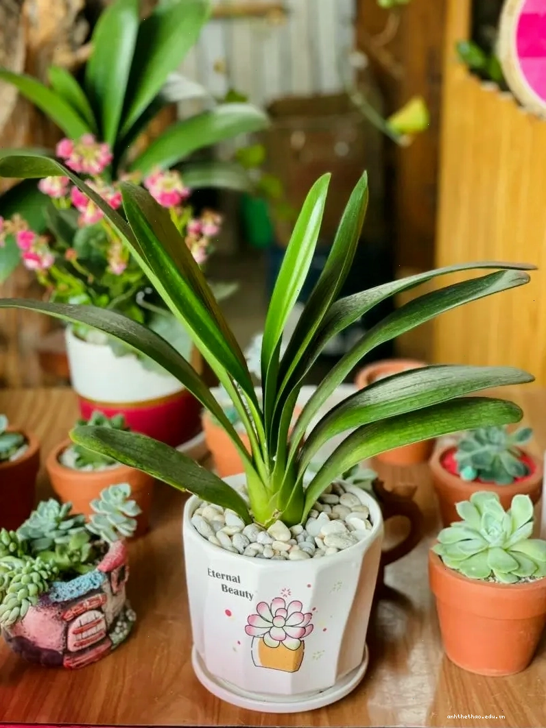 Cảnh vật nên thơ, mang lại cảm giác bình yên