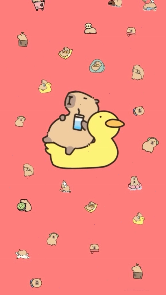 Capybara thư giãn trên phao vịt
