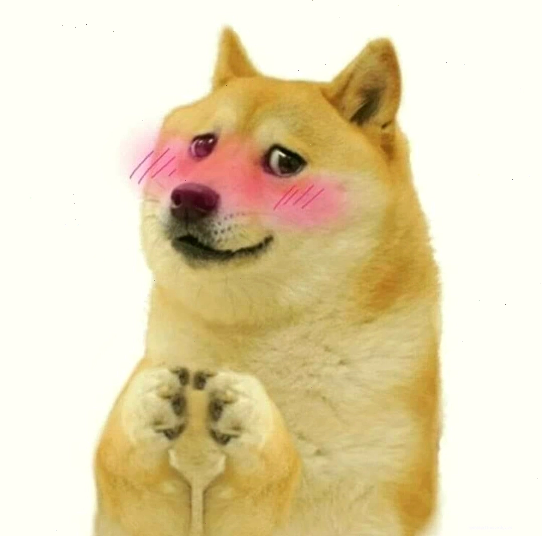 Chó meme