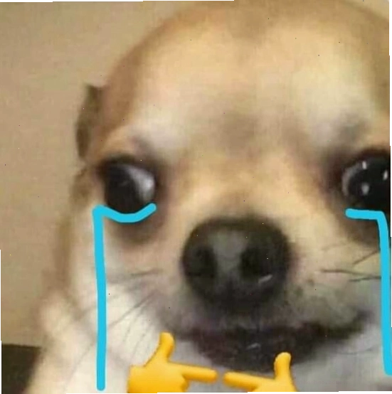 Chó meme với biểu cảm