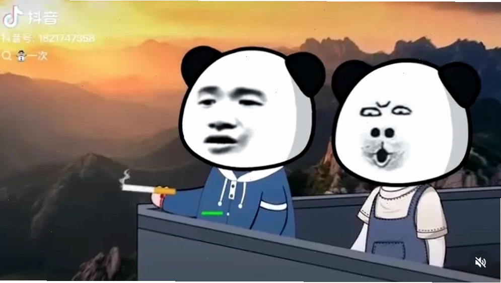 Cười ngất với 130 Meme Gấu Trúc Weibo bựa lầy lội, dễ thương và hài hước