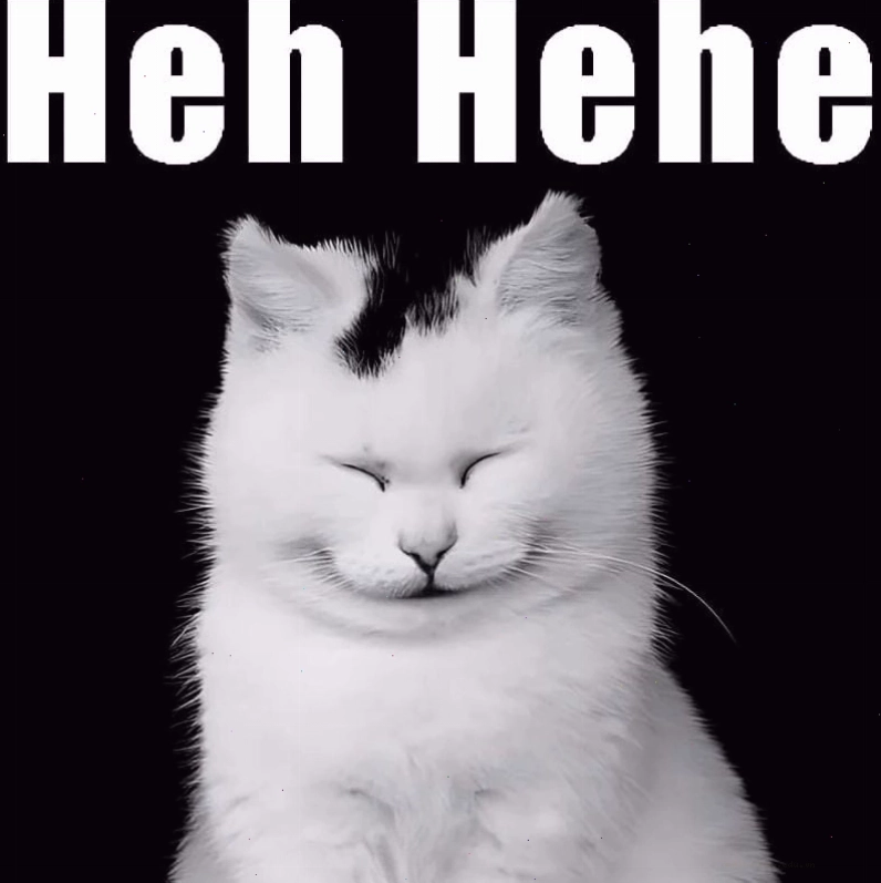 Cười sảng với meme hehe mới nhất