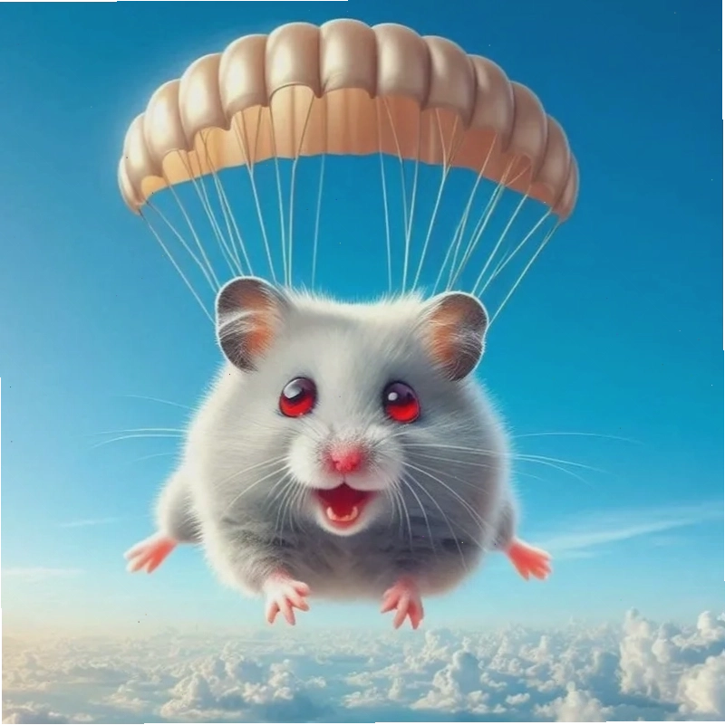 Cute hamster meme dễ thương cho mọi tâm trạng