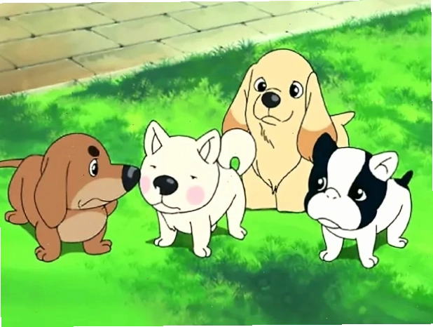 Dàn nhân vật chó trong anime Fortune Dogs