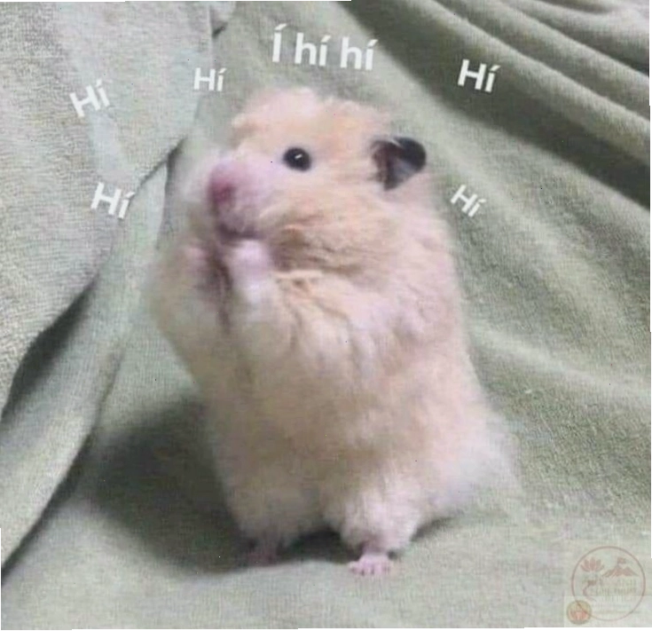 Dùng hẹ hẹ hẹ meme để pha trò trong cuộc trò chuyện
