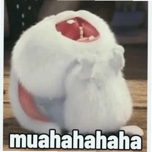 Gấu thỏ snowball cực hiếm