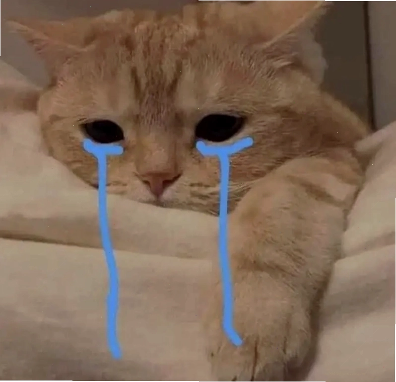 Gây sốt cộng đồng mạng với cat cry when holding phone meme