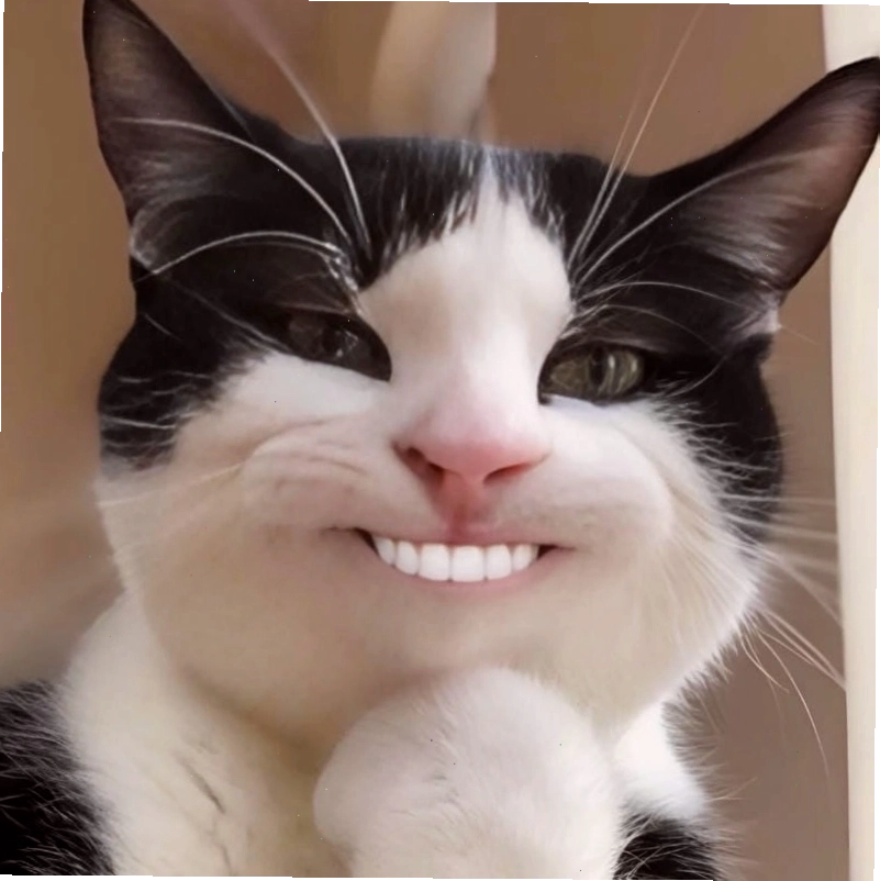 Gợi ý những bức meme hehe biểu cảm