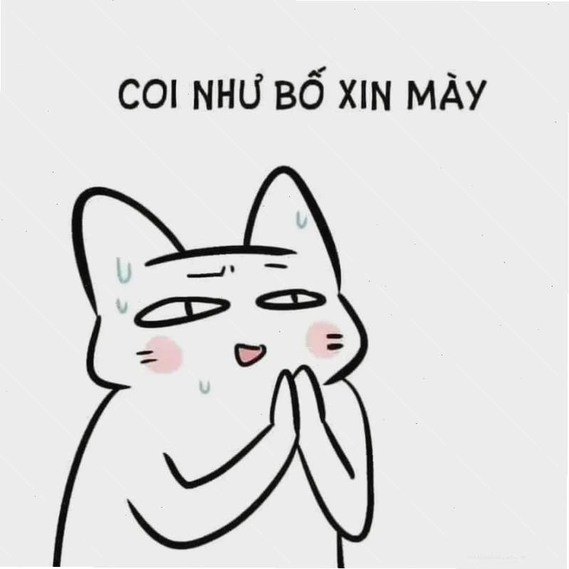 Hình ảnh meme cầu xin tha thứ với biểu cảm tội nghiệp