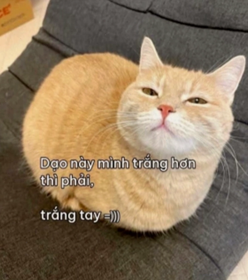 Hình ảnh minh họa tiền bạc rời xa