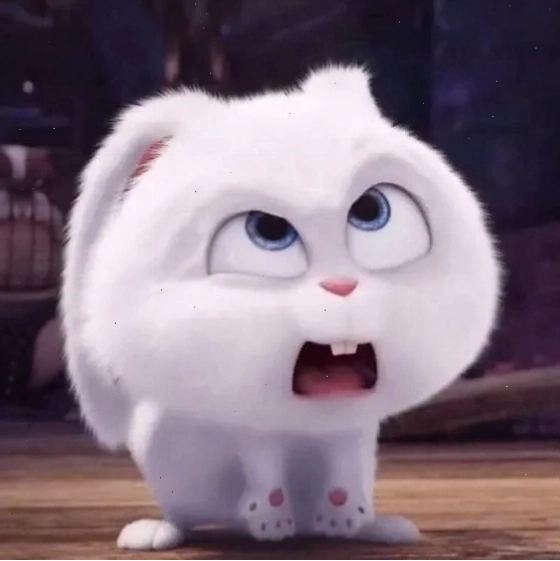 Hình ảnh thỏ snowball thực tế