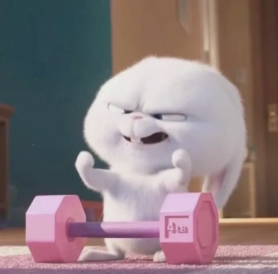 Hình nền thỏ snowball độc lạ