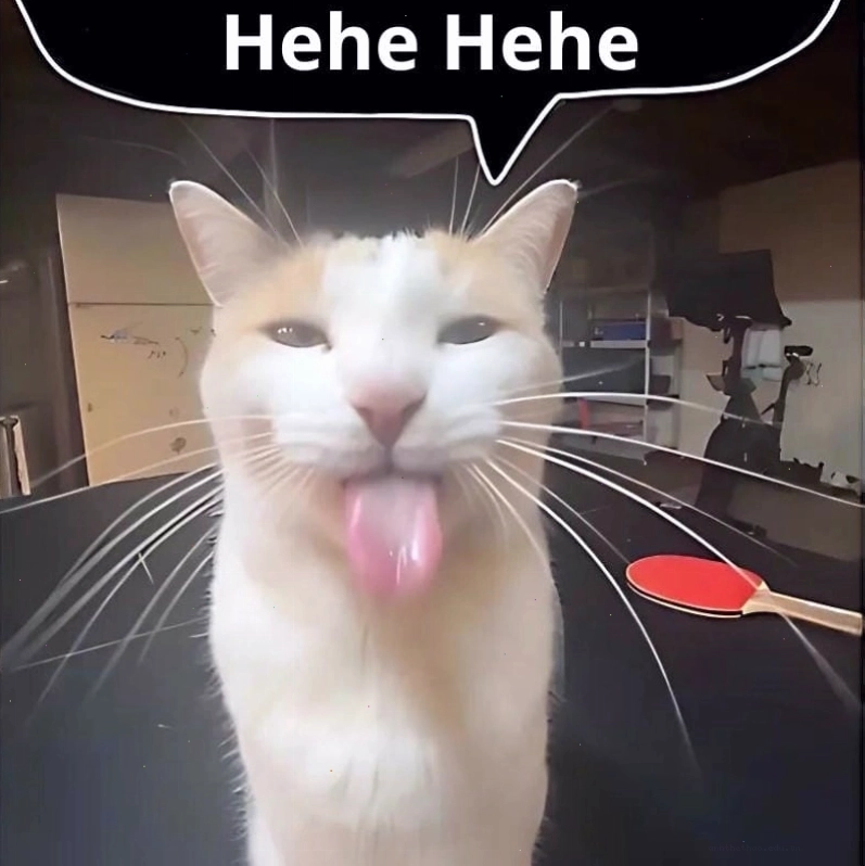 Khám phá những bức meme hehe hài hước và độc đáo