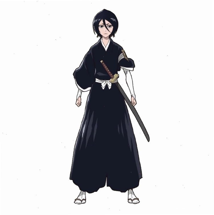 Kuchiki Rukia, Shinigami đồng hành cùng Ichigo trong Bleach
