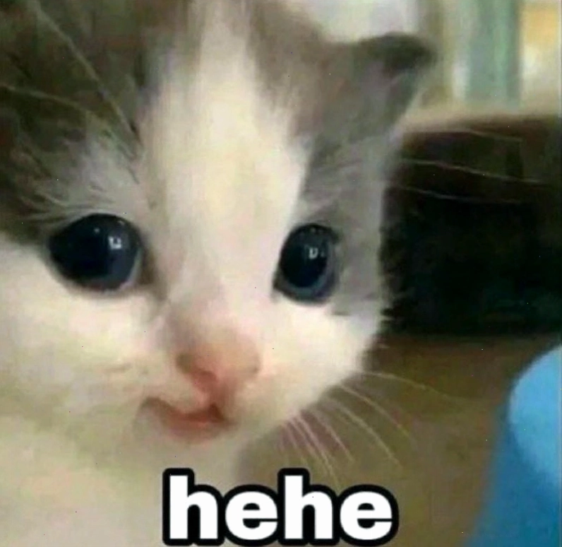 Lạc lối trong meme hehe cute