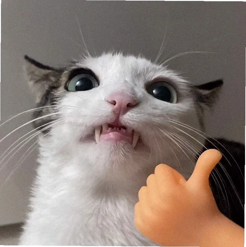 Lan tỏa niềm vui bằng cute meme mèo like cho bạn bè