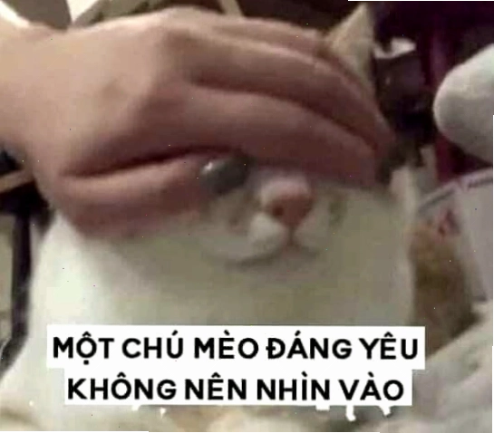 Meme che mắt thể hiện sự ngại ngùng