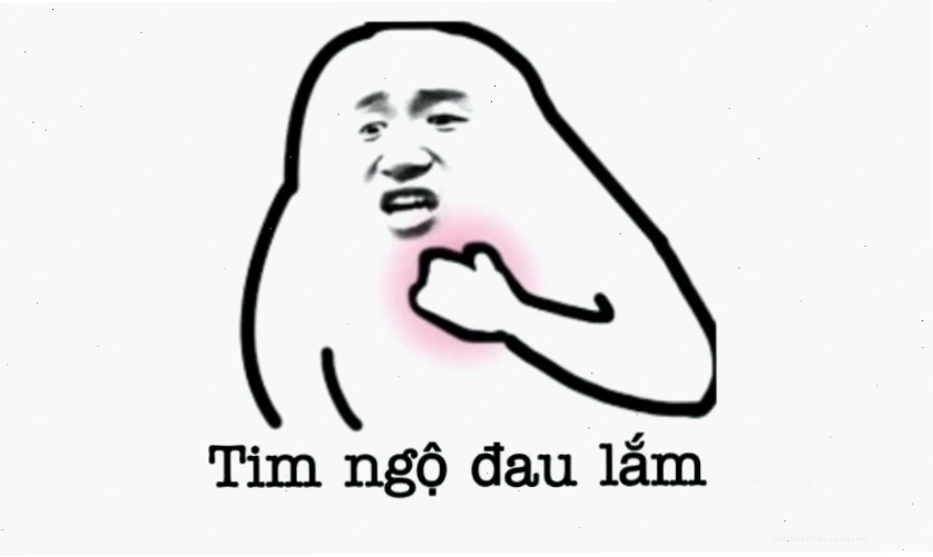 Meme chó hài hước với tình huống bất ngờ