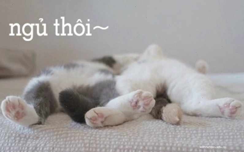 Meme chúc ngủ ngon với phong cách vẽ tay ngộ nghĩnh