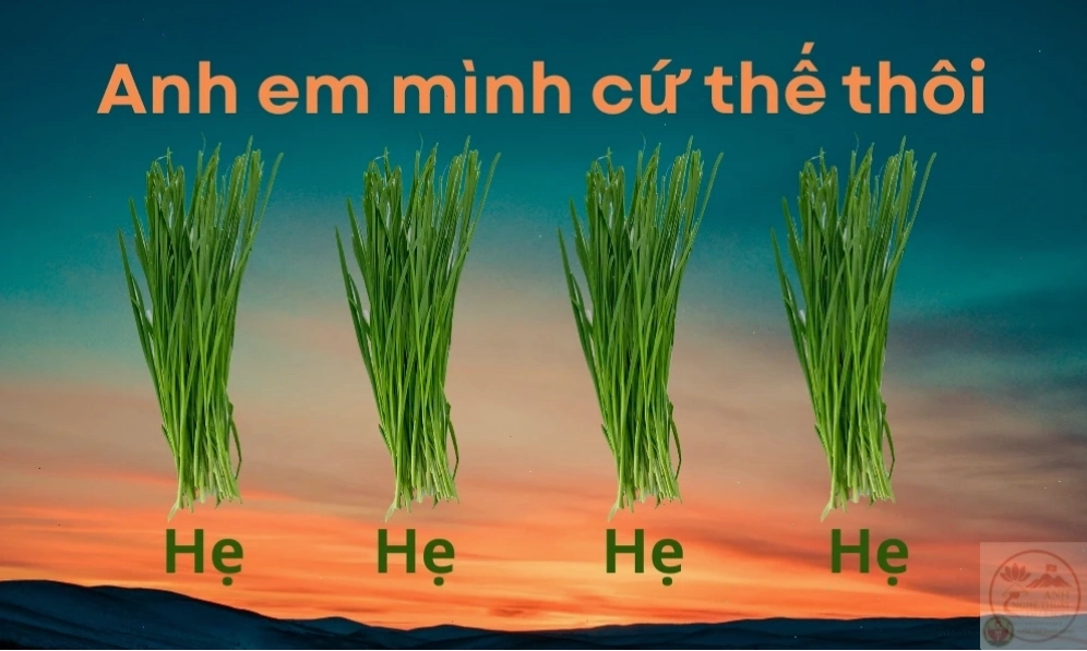 Meme cười hẹ hẹ hẹ hài hước