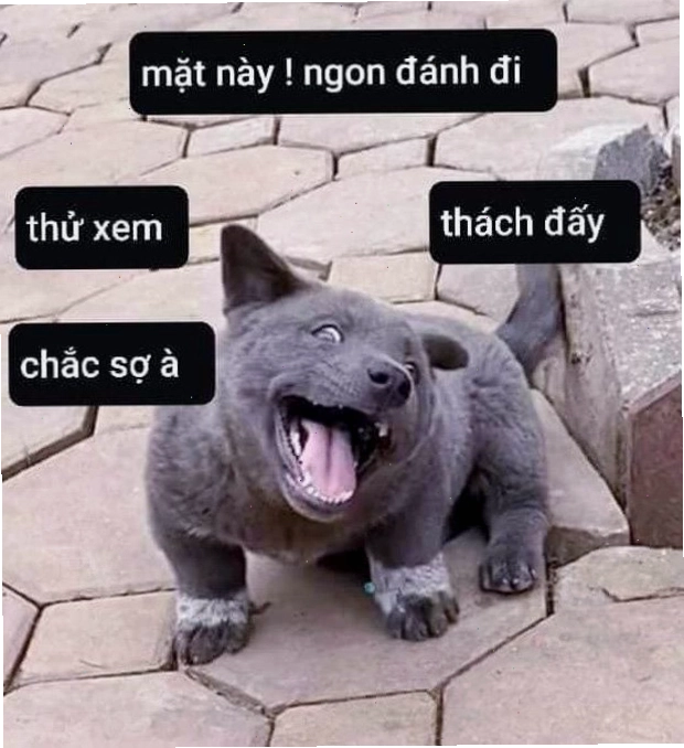 Meme đấm vào mặt thể hiện sự tức giận