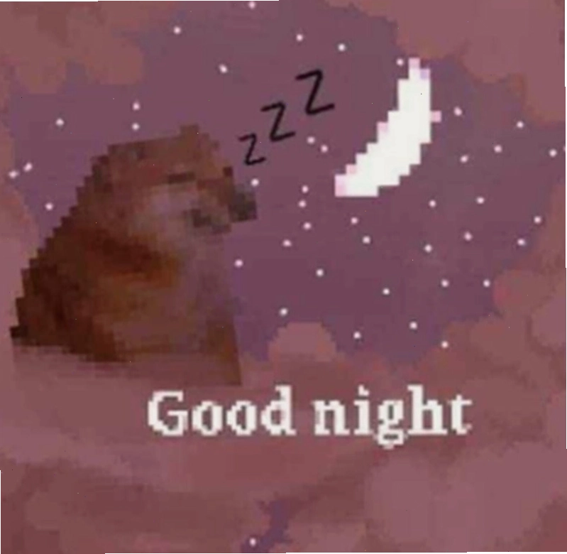 Meme dễ thương kèm câu chúc ngủ ngon
