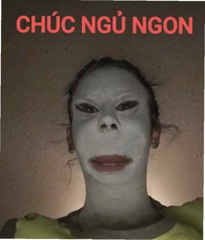Meme đi ngủ mau với biểu cảm đáng yêu