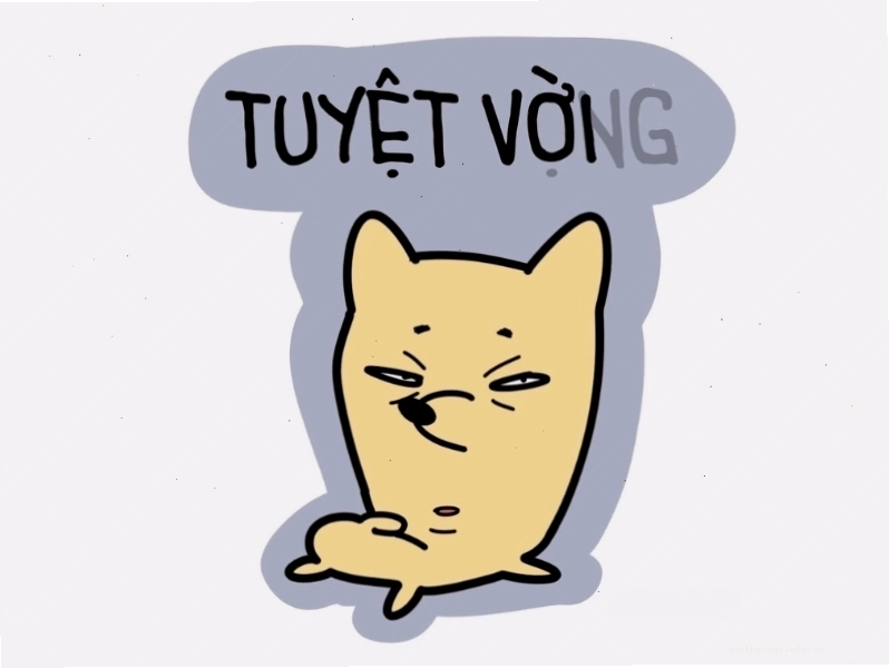 Meme diễn tả trạng thái "Tuyệt vời và tuyệt vọng"