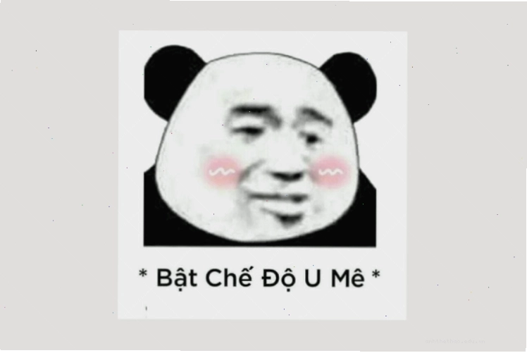 Meme gấu trúc hài hước