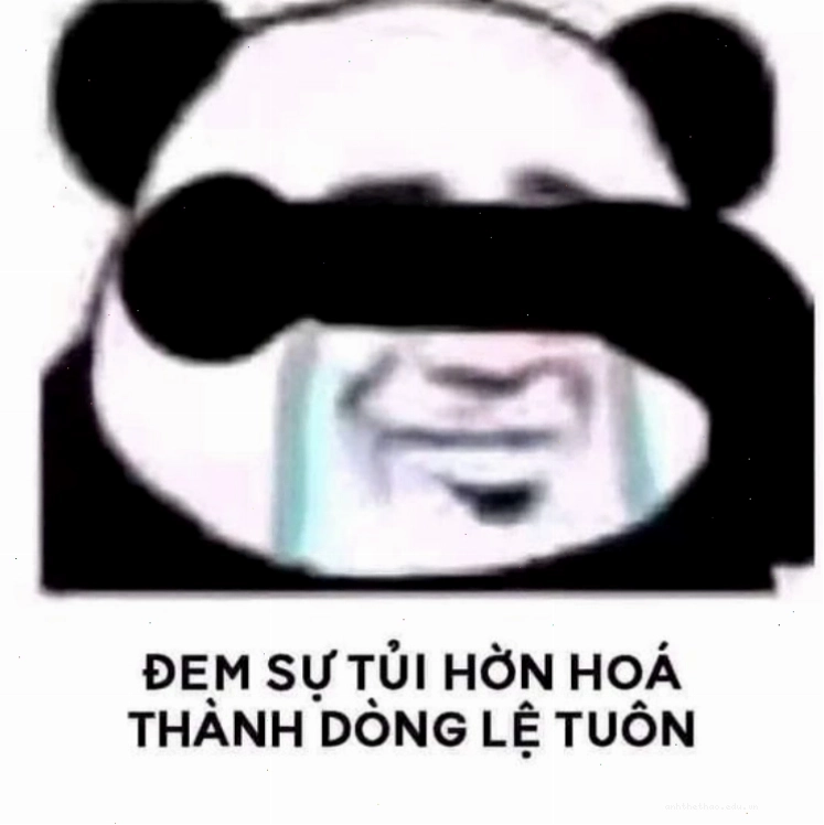 Meme gấu trúc khóc nhè