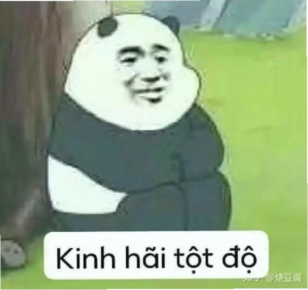 Meme gấu trúc mặt người cười tươi với chú thích tiếng Việt "Kinh hãi tột độ"