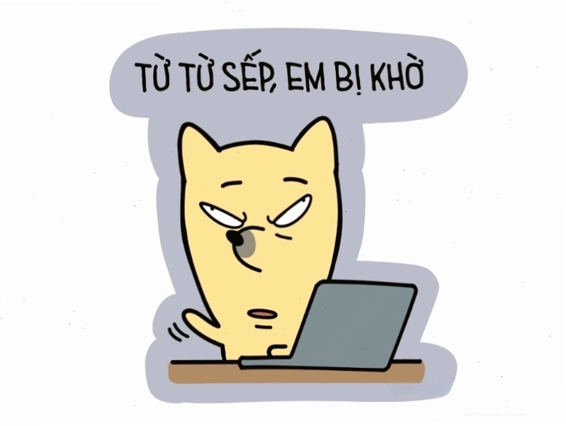 Meme hài hước về sếp