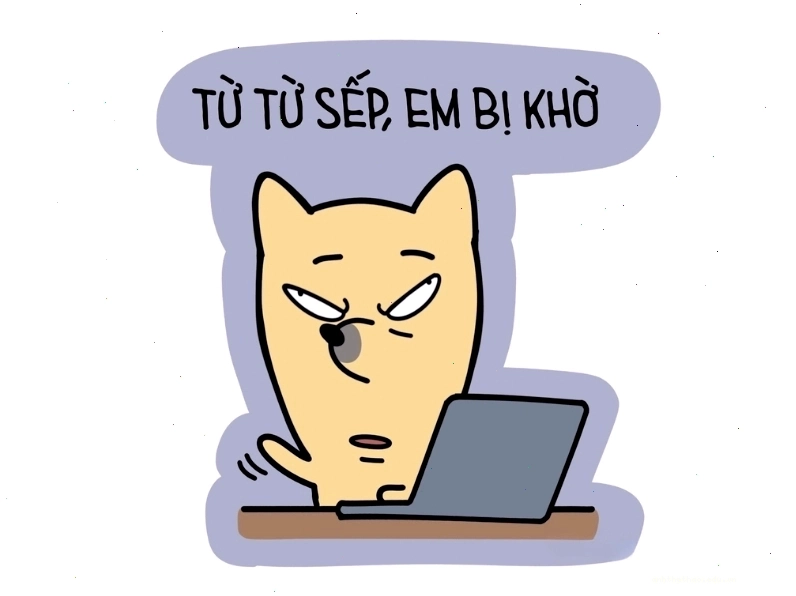 Meme hài hước về tình huống tế nhị tại công sở