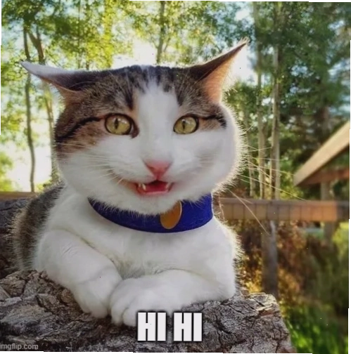 Meme hihi nhỏ nhưng lan tỏa