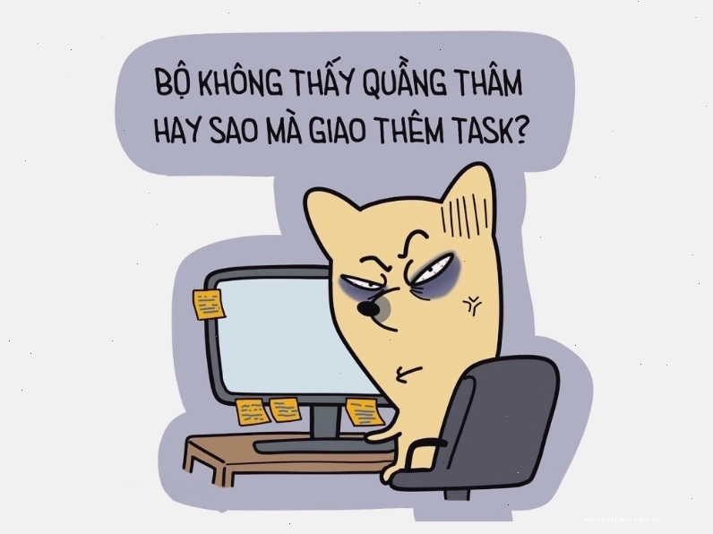 Meme mèo bựa về chủ đề công việc