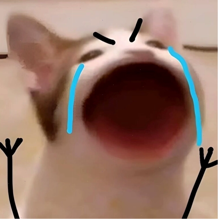 Meme Mèo Khóc đáng thương