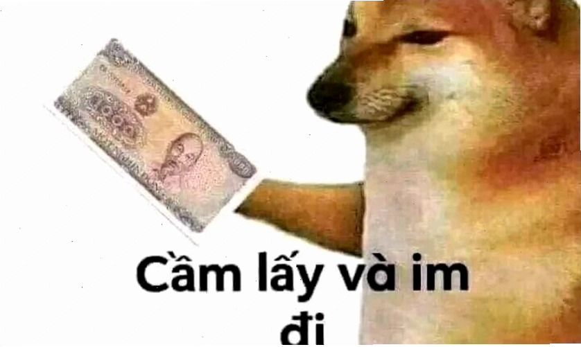 Meme mèo với pha "làm màu" hài hước