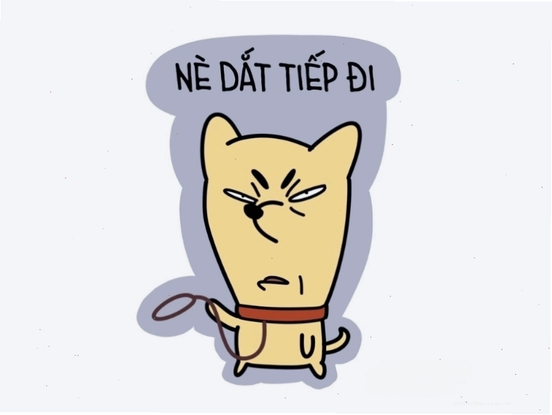 Meme mèo với thông điệp hài hước