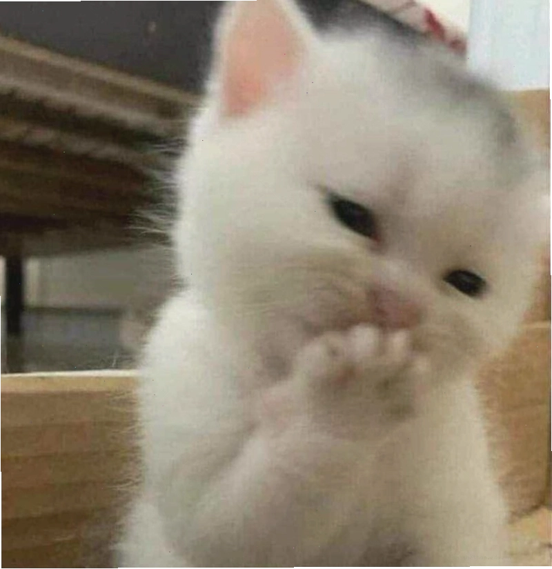 Meme ngại động vật