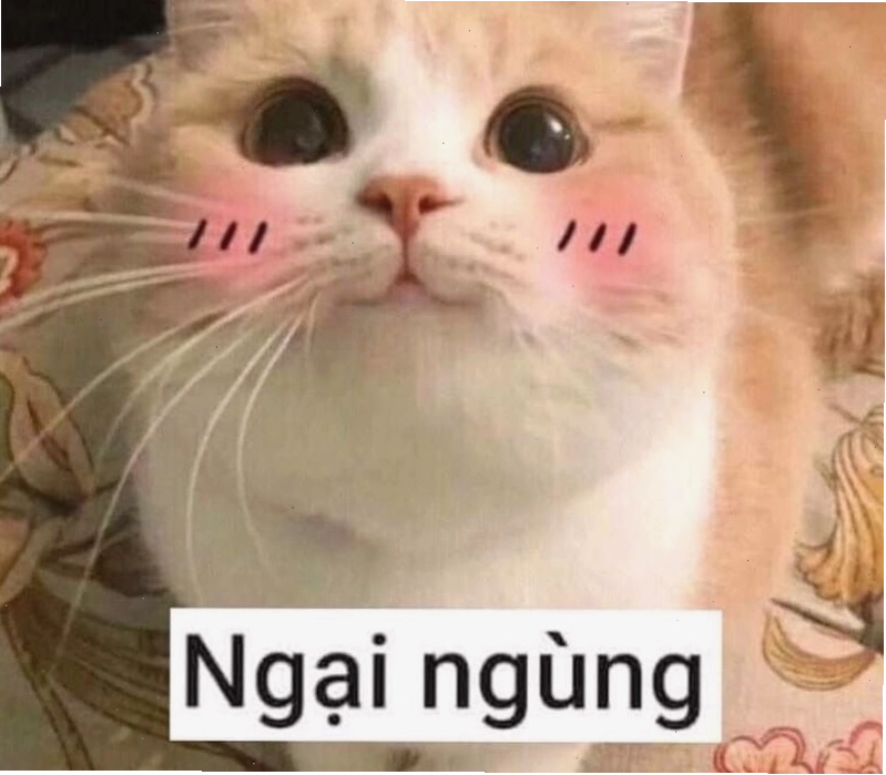 Meme ngại động vật