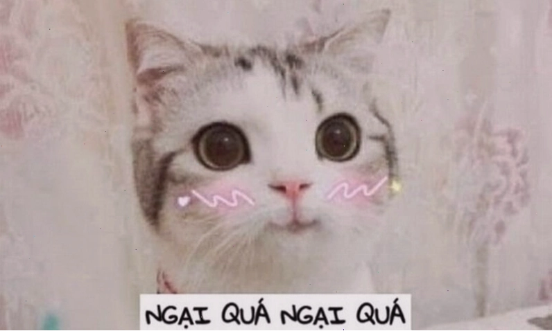 Meme ngại ngùng với hình ảnh chú chó dễ thương