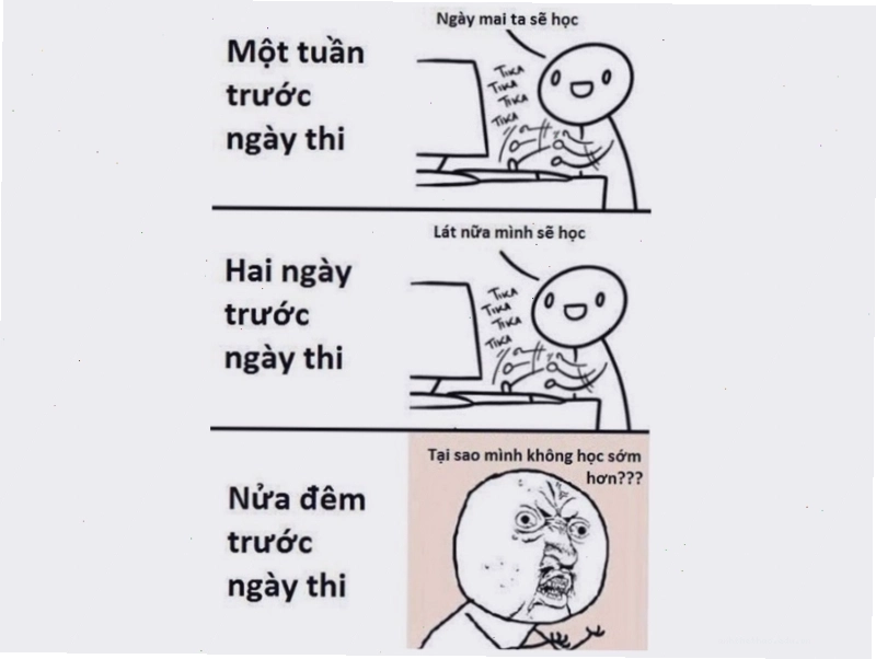 Meme ôn tập trước ngày thi