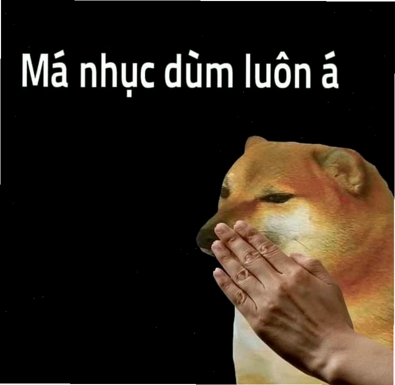 meme quê viral trên mạng