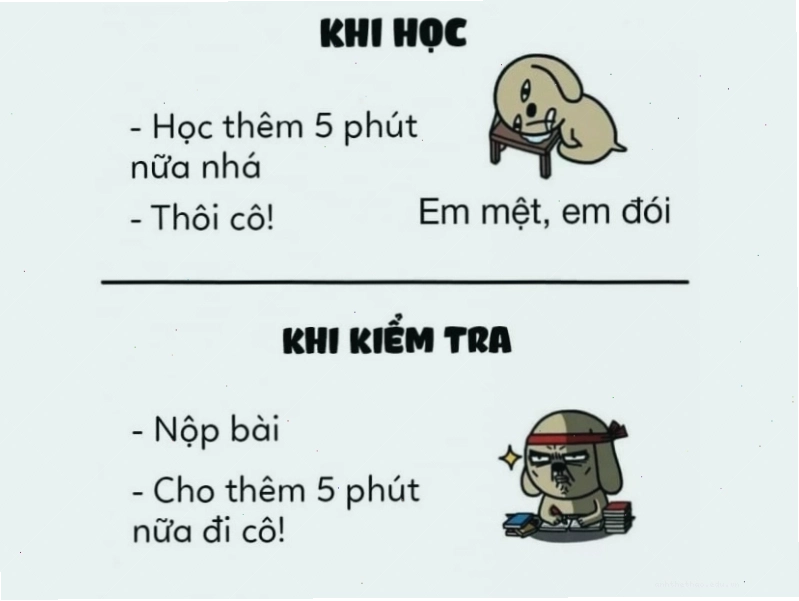 Meme so sánh thời gian học và thi