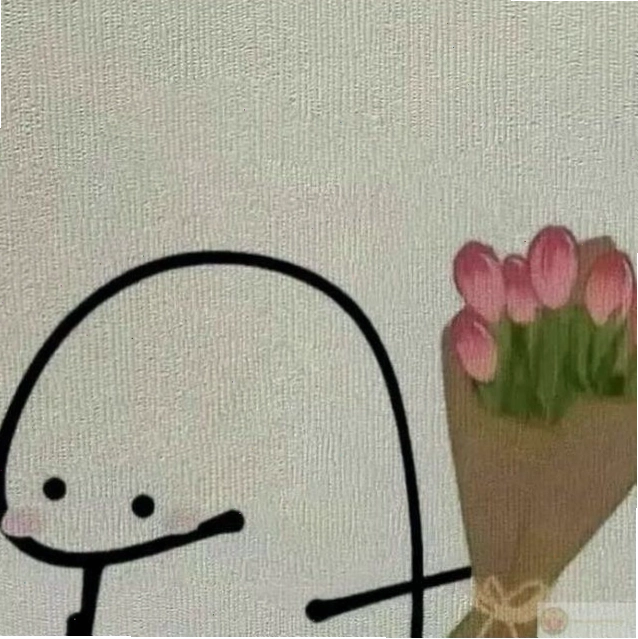 Meme tặng hoa tulip lãng mạn và tinh tế